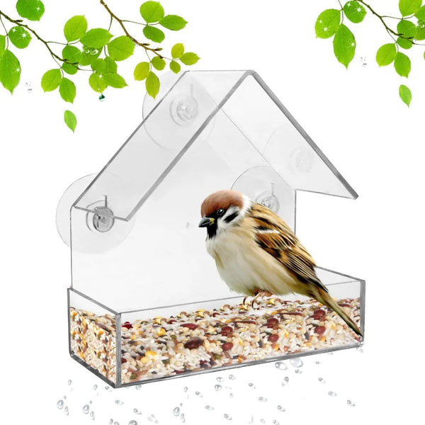 BirdFeeder™ - Transparentes Futterhaus