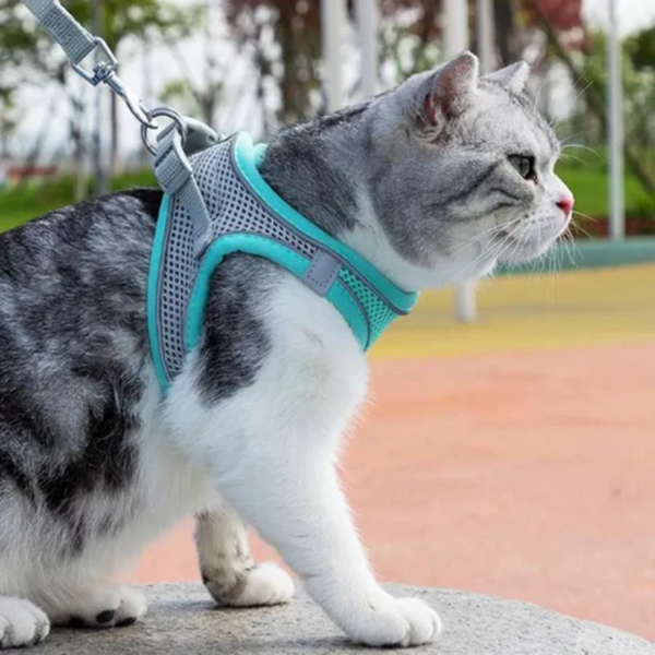 MeowStrap™ - Laufen Sie Stilvoll Und Bequem Mit Ihrer Geliebten Katze